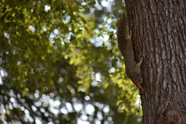 混团世界杯！韩国0-8惨败，王楚钦暴抽穿越，曼昱零封，莎莎轮休