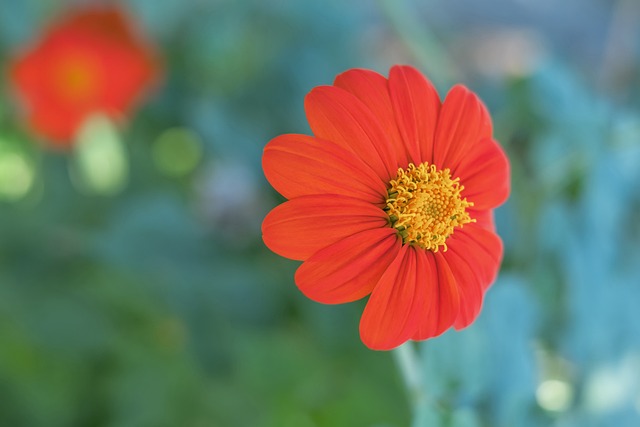 下半场3分钟内为巴萨反超比分，孔德职业生涯首次梅开二度