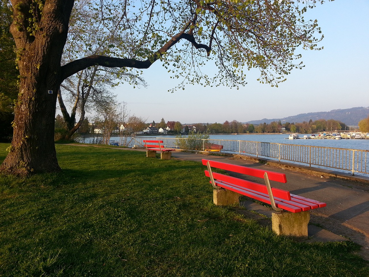 英格拉姆扛起进攻大旗，巴恩斯状态堪忧，猛龙次节净负21分