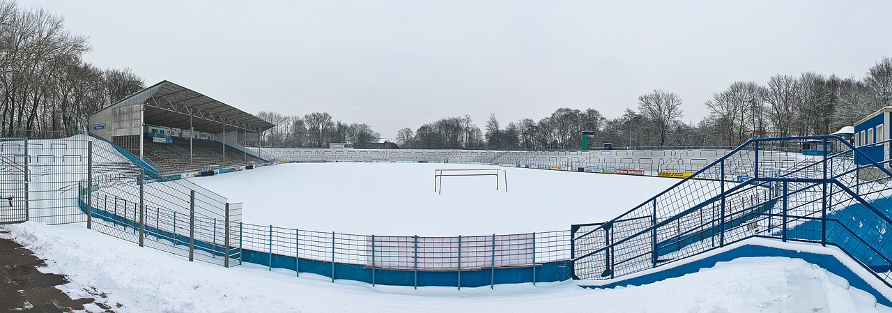 斐尔